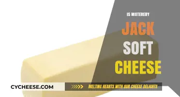 Is Monterey Jack Soft Cheese? Exploring Its Texture and Uses