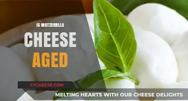 Is Mozzarella Cheese Aged? Unraveling the Truth Behind Its Freshness