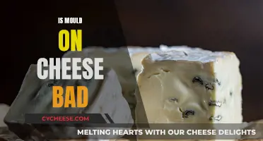 Cheese Mould: Harmful or Edible?