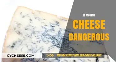 Mouldy Cheese: Safe to Eat or a Health Hazard?