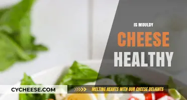 Mouldy Cheese: Healthy or Harmful?