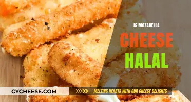 Is Mozzarella Cheese Halal? Understanding Ingredients and Certification