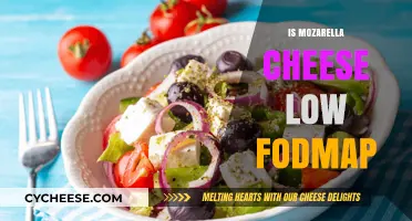 Is Mozzarella Cheese Low FODMAP? A Digestive-Friendly Guide