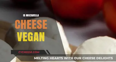 Is Mozzarella Cheese Vegan? Unraveling the Dairy-Free Dilemma
