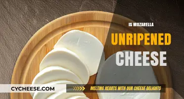 Is Mozzarella Unripened Cheese? Exploring Its Fresh and Soft Nature