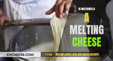 Mozzarella Melting: The Science Behind This Cheesy Magic