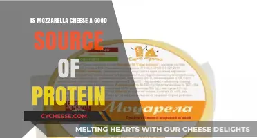 Is Mozzarella Cheese a Good Source of Protein? Find Out