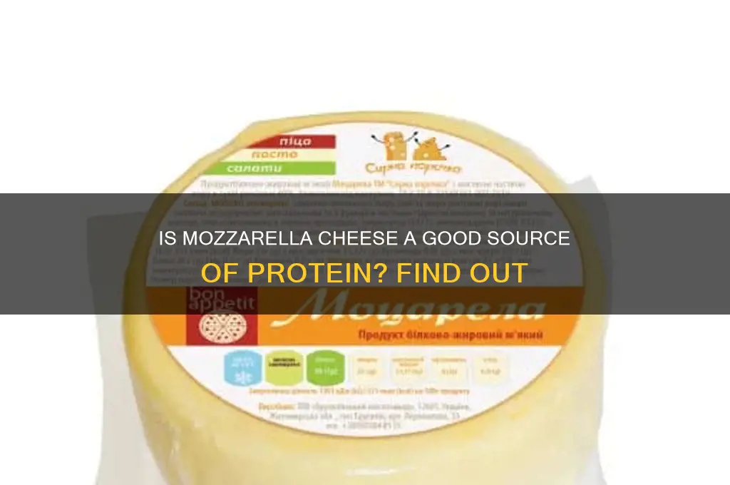 is mozzarella cheese a good source of protein