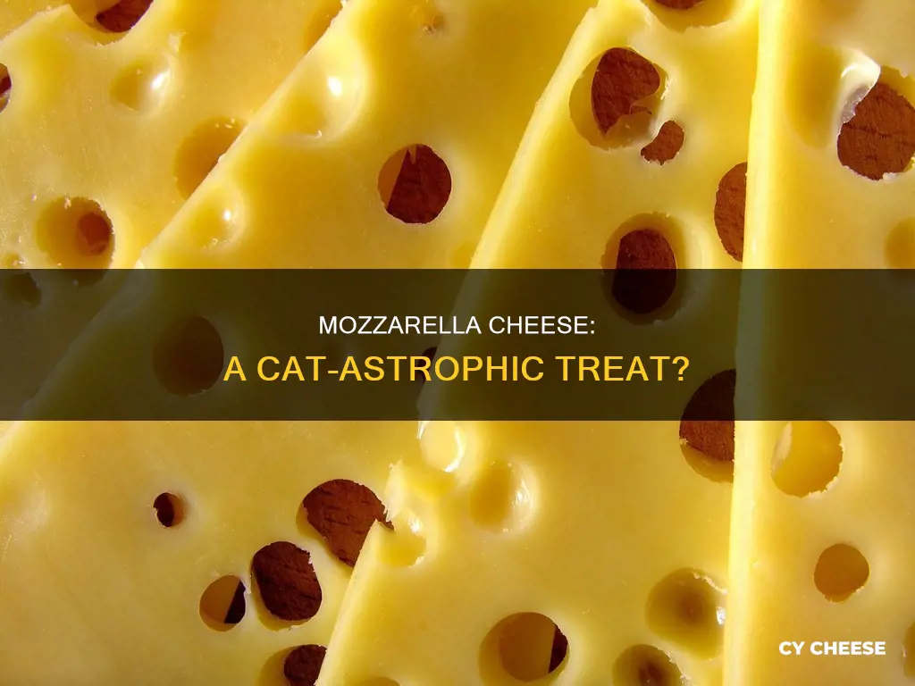 is mozzarella cheese bad for cats