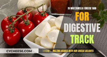 Mozzarella Cheese: Friend or Foe for Your Digestive Tract?