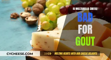 Mozzarella and Gout: Is This Cheese Safe to Eat?
