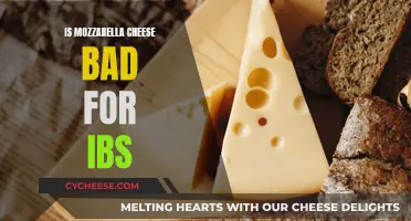Mozzarella and IBS: A Safe Match?