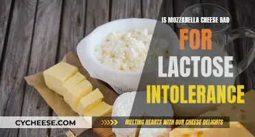 Mozzarella and Lactose Intolerance: What You Need to Know