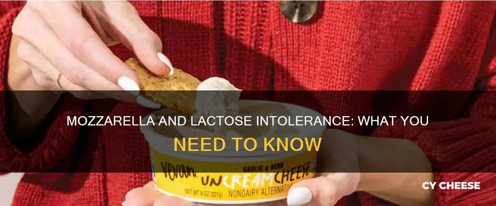 is mozzarella cheese bad for lactose intolerance