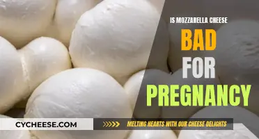 Mozzarella Cheese During Pregnancy: Is It Safe?