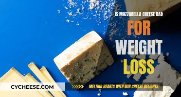 Mozzarella Cheese: Friend or Foe in Weight Loss?