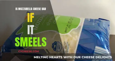 Mozzarella Cheese: When Does Smell Mean Bad?