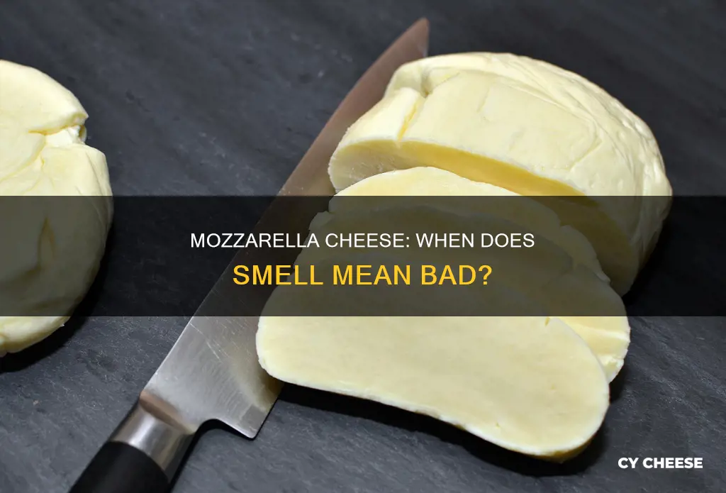 is mozzarella cheese bad if it smeels