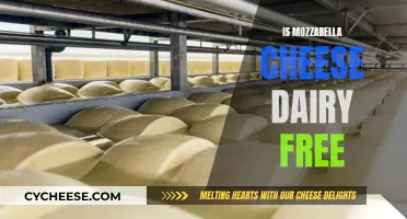 Mozzarella Cheese: A Dairy-Free Option?