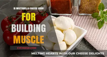 Mozzarella Cheese and Muscle Building: A Dairy Delight or Myth?