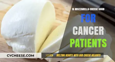 Mozzarella Cheese and Cancer: Nutritional Benefits and Considerations for Patients