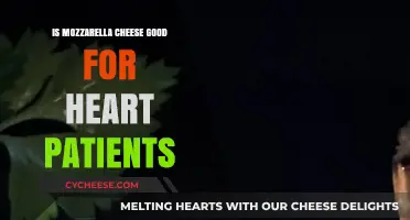 Mozzarella Cheese and Heart Health: Benefits or Risks for Patients?
