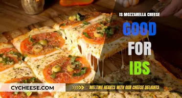 Mozzarella Cheese and IBS: A Digestive-Friendly Dairy Option?