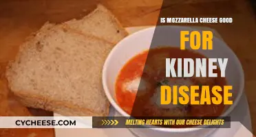 Mozzarella Cheese and Kidney Health: Benefits or Risks Explained