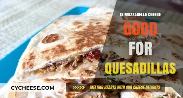 Mozzarella Cheese in Quesadillas: A Melty Match or Miss?
