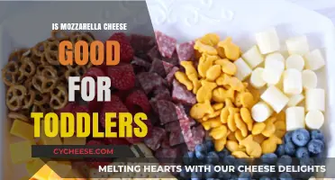 Is Mozzarella Cheese a Healthy Toddler Snack? Nutrition Facts Revealed