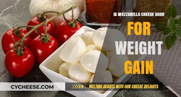 Mozzarella Cheese for Weight Gain: Healthy or Harmful Choice?