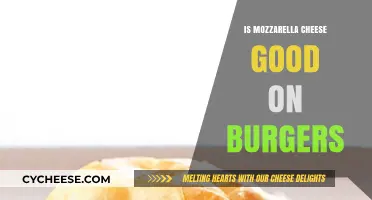 Mozzarella on Burgers: A Melty, Cheesy Game-Changer or Miss?