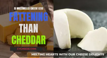 Mozzarella vs. Cheddar: Unveiling the Fatty Truth