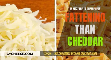 Mozzarella vs Cheddar: Which Cheese is Less Fattening?