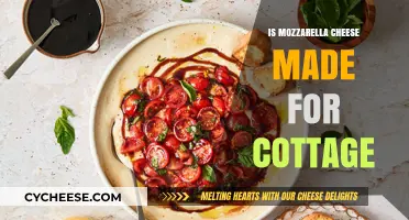 Is Mozzarella Cheese Suitable for Cottage Cheese Recipes?