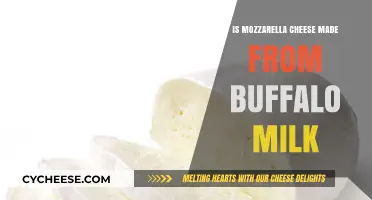 Mozzarella's Buffalo Milk Origin: Fact or Fiction?