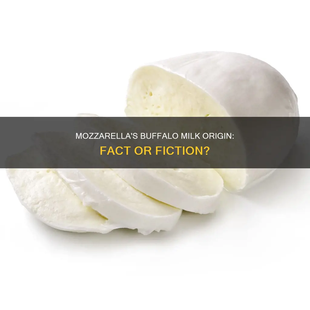 is mozzarella cheese made from buffalo milk