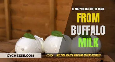 Mozzarella Cheese: Is Buffalo Milk the Real Source?