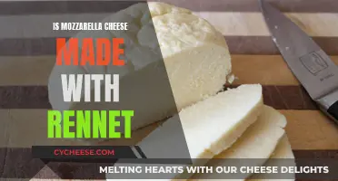 Mozzarella Cheese and Rennet: What's the Connection?