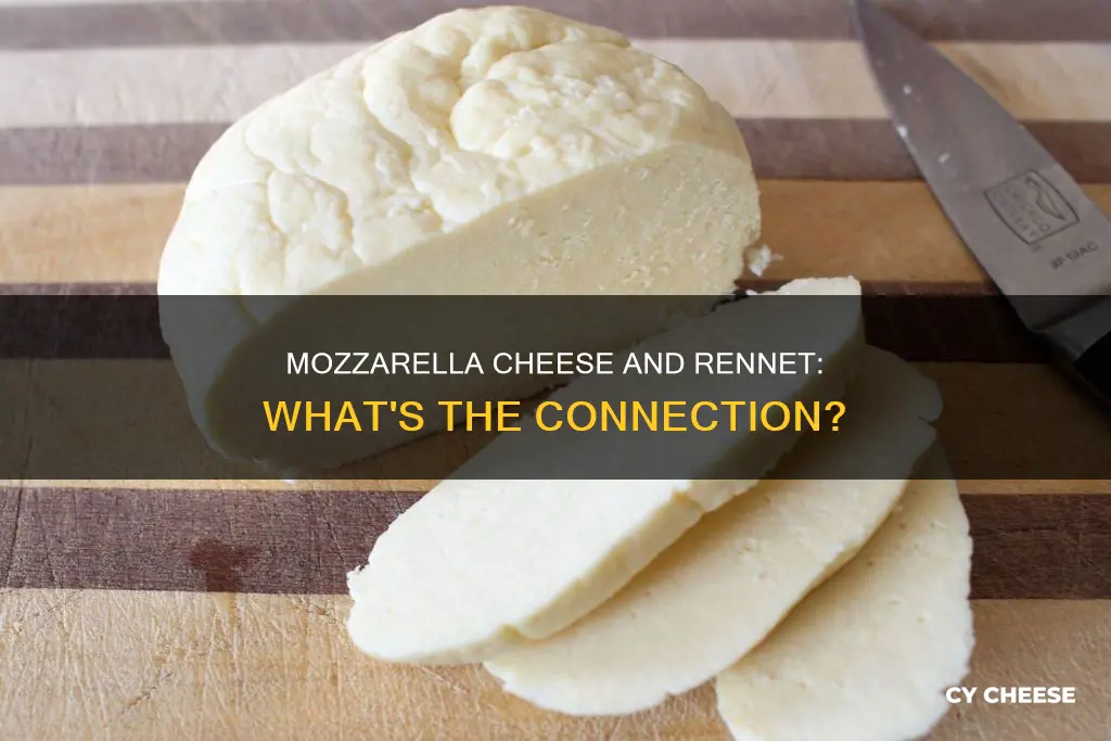is mozzarella cheese made with rennet