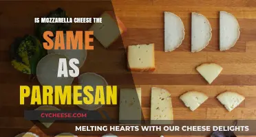 Mozzarella and Parmesan: What's the Difference?
