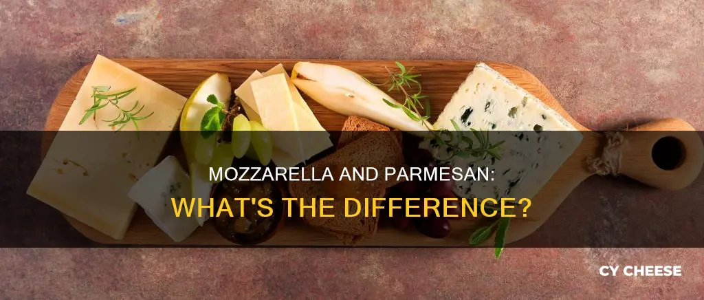 is mozzarella cheese the same as parmesan