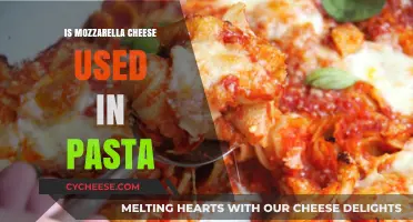 Mozzarella Cheese and Pasta: A Perfect Match?