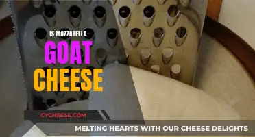 Is Mozzarella Goat Cheese? Unraveling the Dairy Mystery