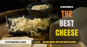 Mozzarella: The Ultimate Cheese?