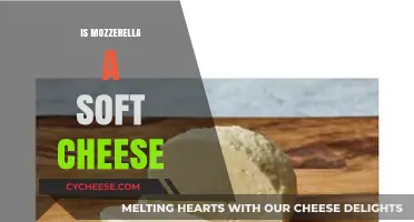Is Mozzarella a Soft Cheese? Exploring Its Texture and Uses