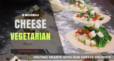 Is Mozzarella Cheese Vegetarian? Unraveling the Dairy Dilemma for Veggies