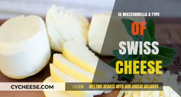 Mozzarella and Swiss Cheese: What's the Difference?