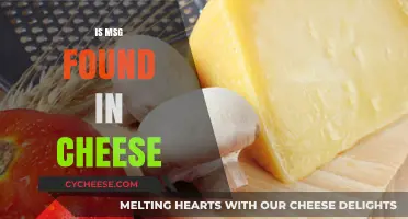 Is MSG in Cheese? Uncovering the Truth About Additives