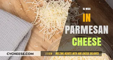 The Truth About MSG in Parmesan Cheese